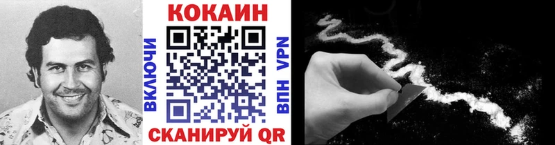 COCAIN Fish Scale  где купить наркоту  kraken зеркало  даркнет формула  Енисейск 